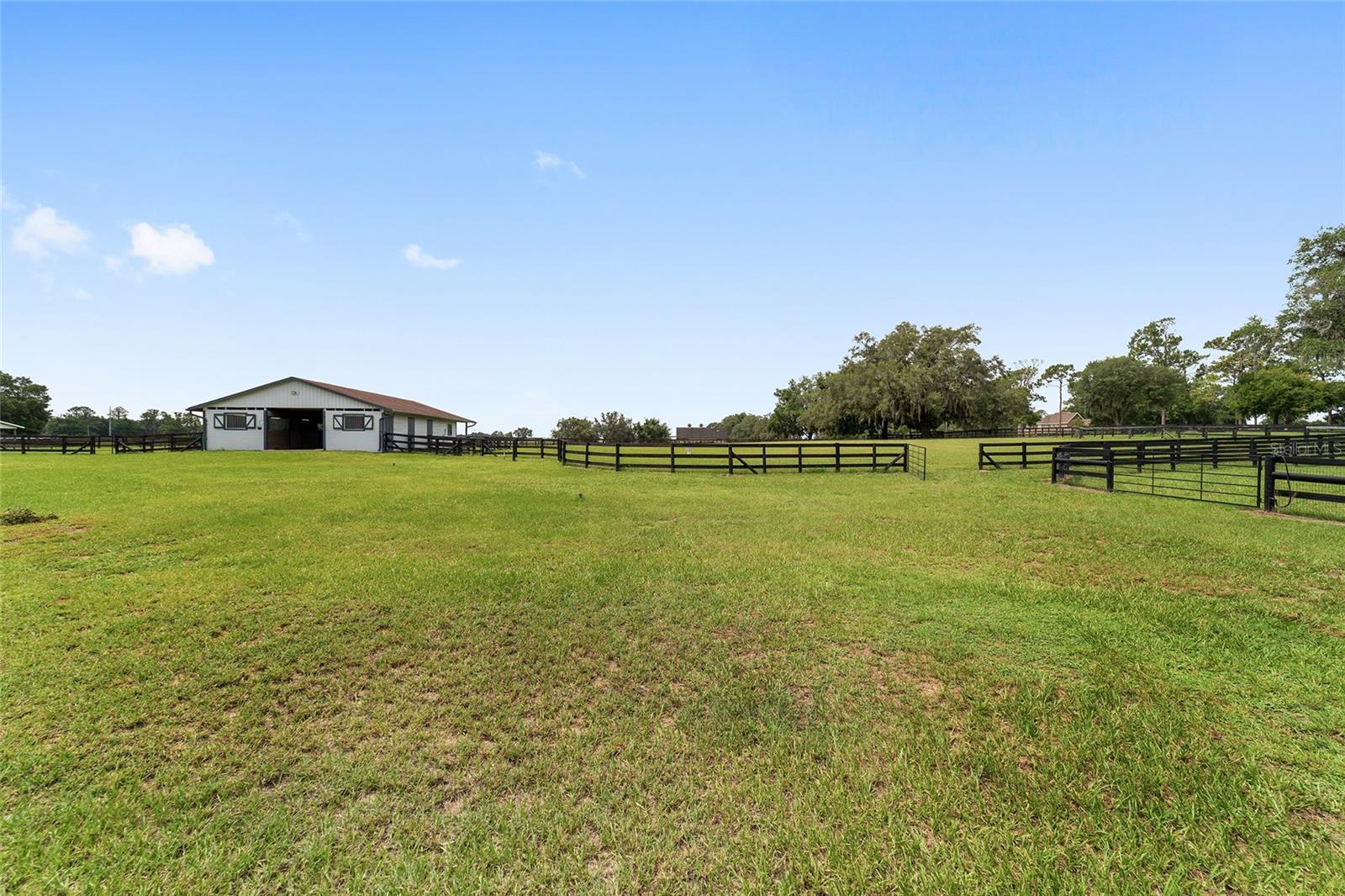 6208 NW 12TH ST, OCALA, FL, 34482