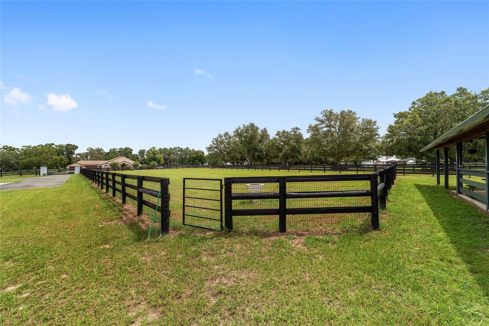 6208 NW 12TH ST, OCALA, FL, 34482