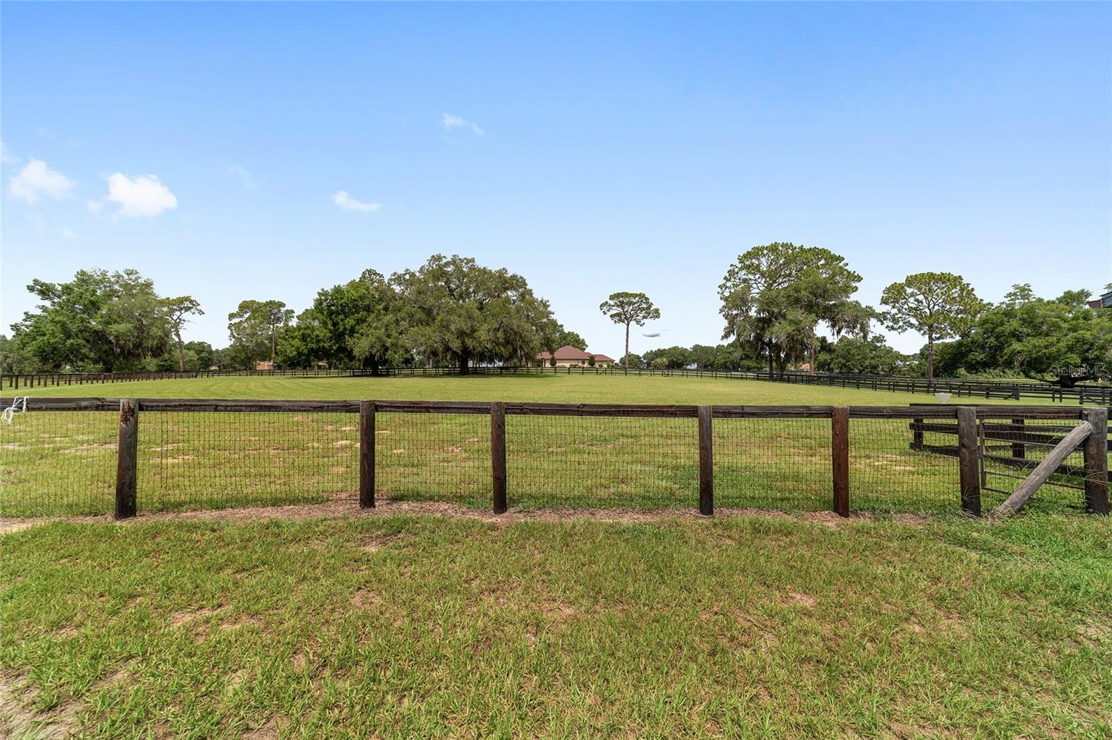6208 NW 12TH ST, OCALA, FL, 34482