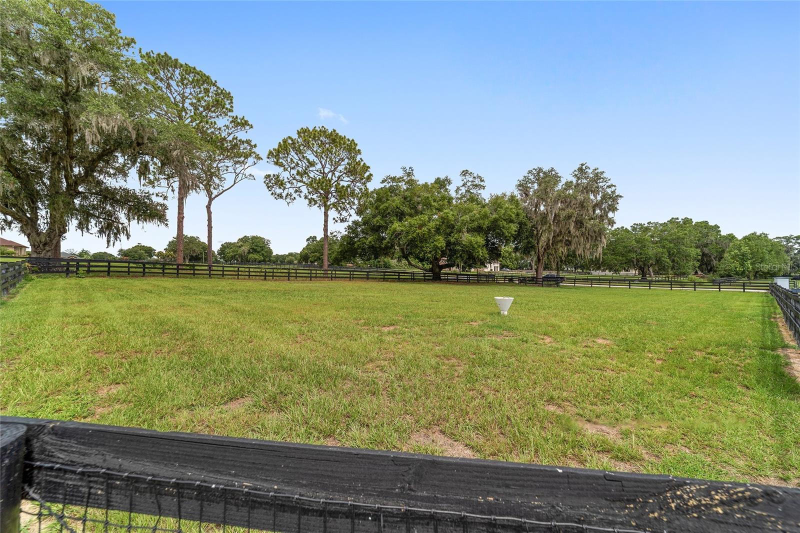 6208 NW 12TH ST, OCALA, FL, 34482