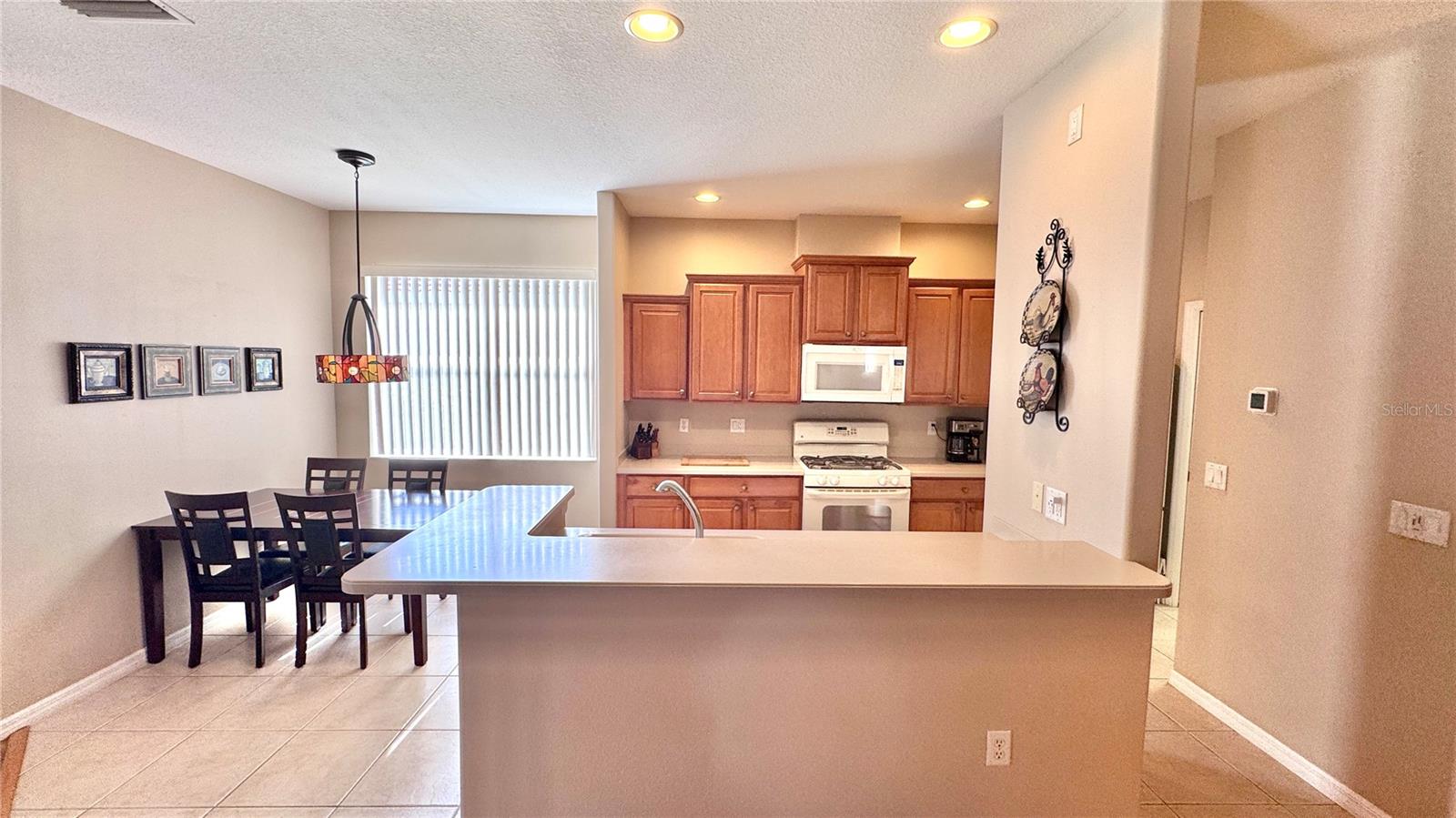 8773 STONE HARBOUR LOOP, BRADENTON, FL, 34212