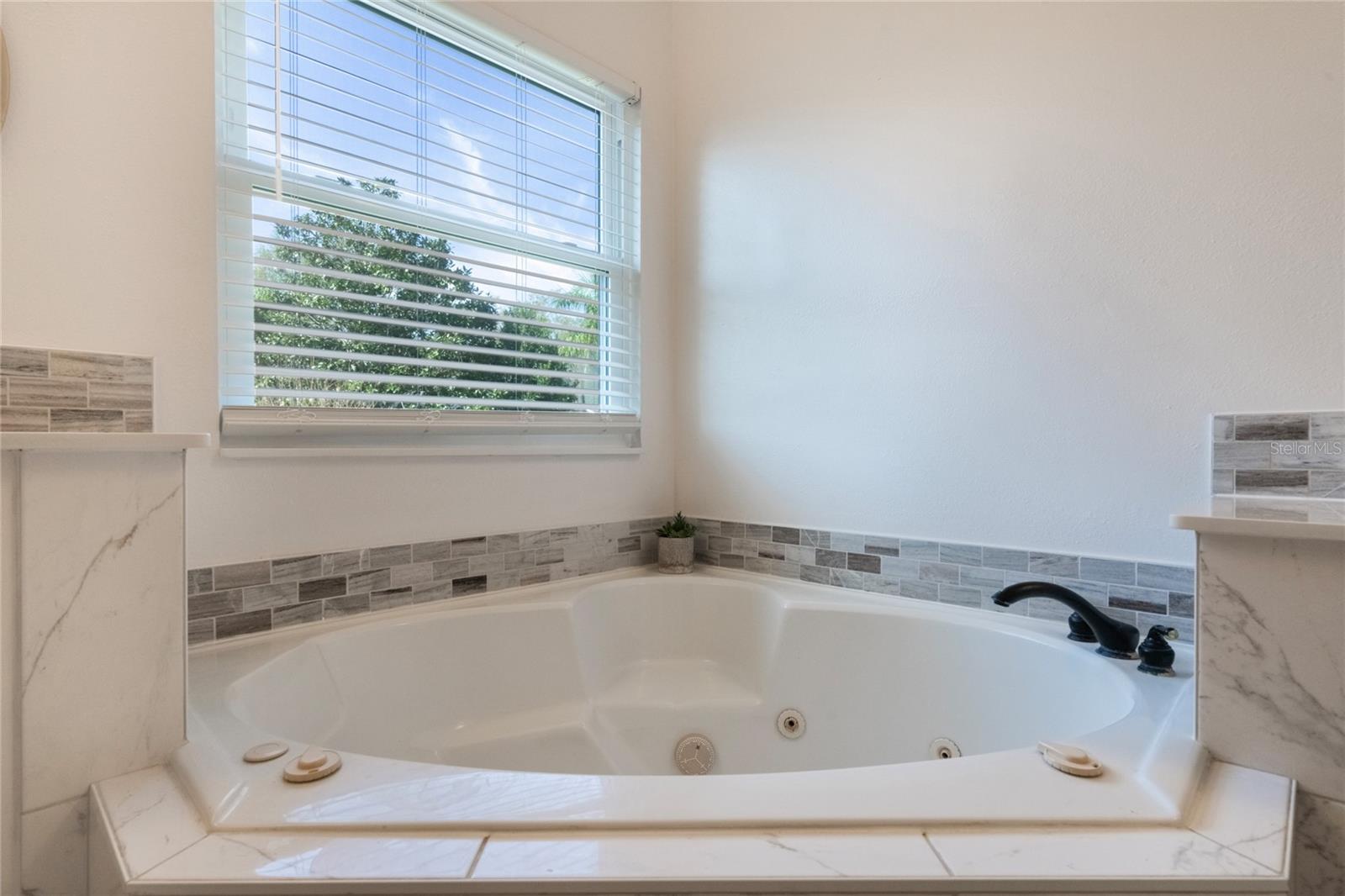 1809 SILVER VALLEY CT, APOPKA, FL, 32712
