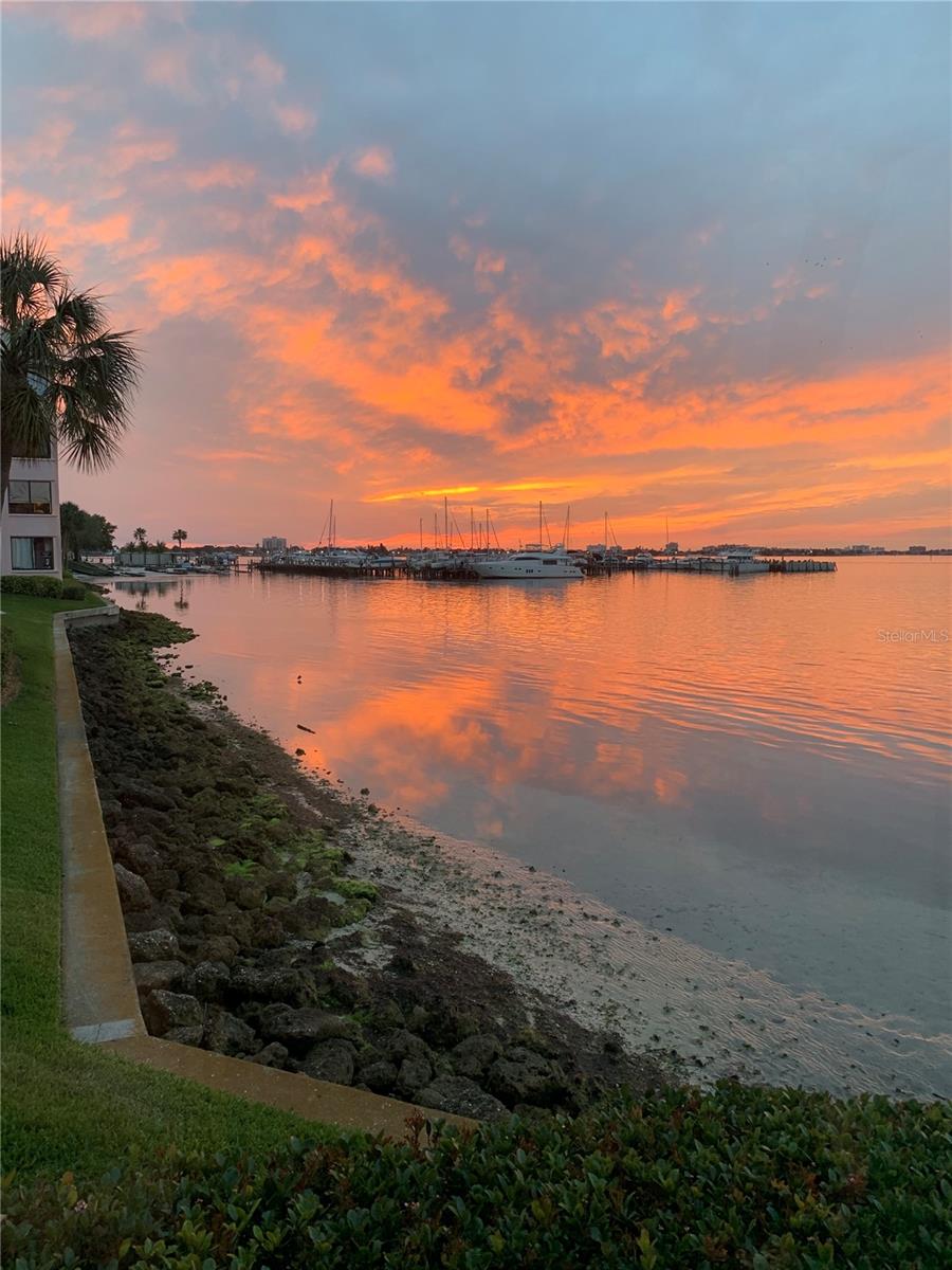 5724 LA PUERTA DEL SOL BLVD S #247, ST PETERSBURG, FL, 33715