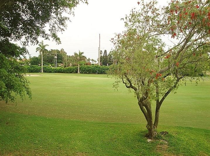 5724 LA PUERTA DEL SOL BLVD S #247, ST PETERSBURG, FL, 33715