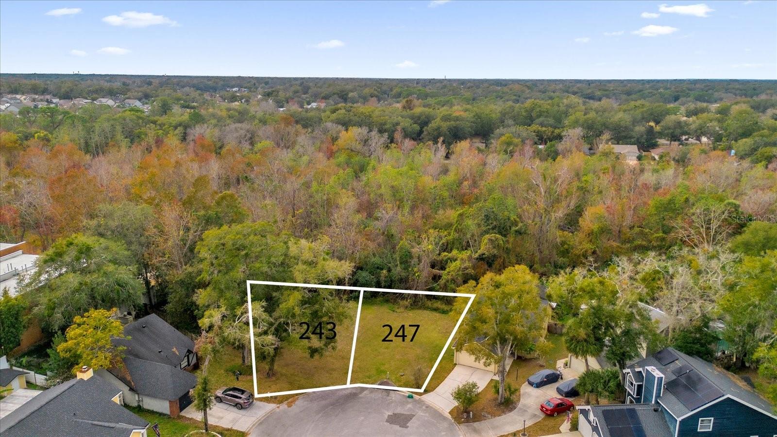 243 BLACKWATER, LONGWOOD, FL, 32750