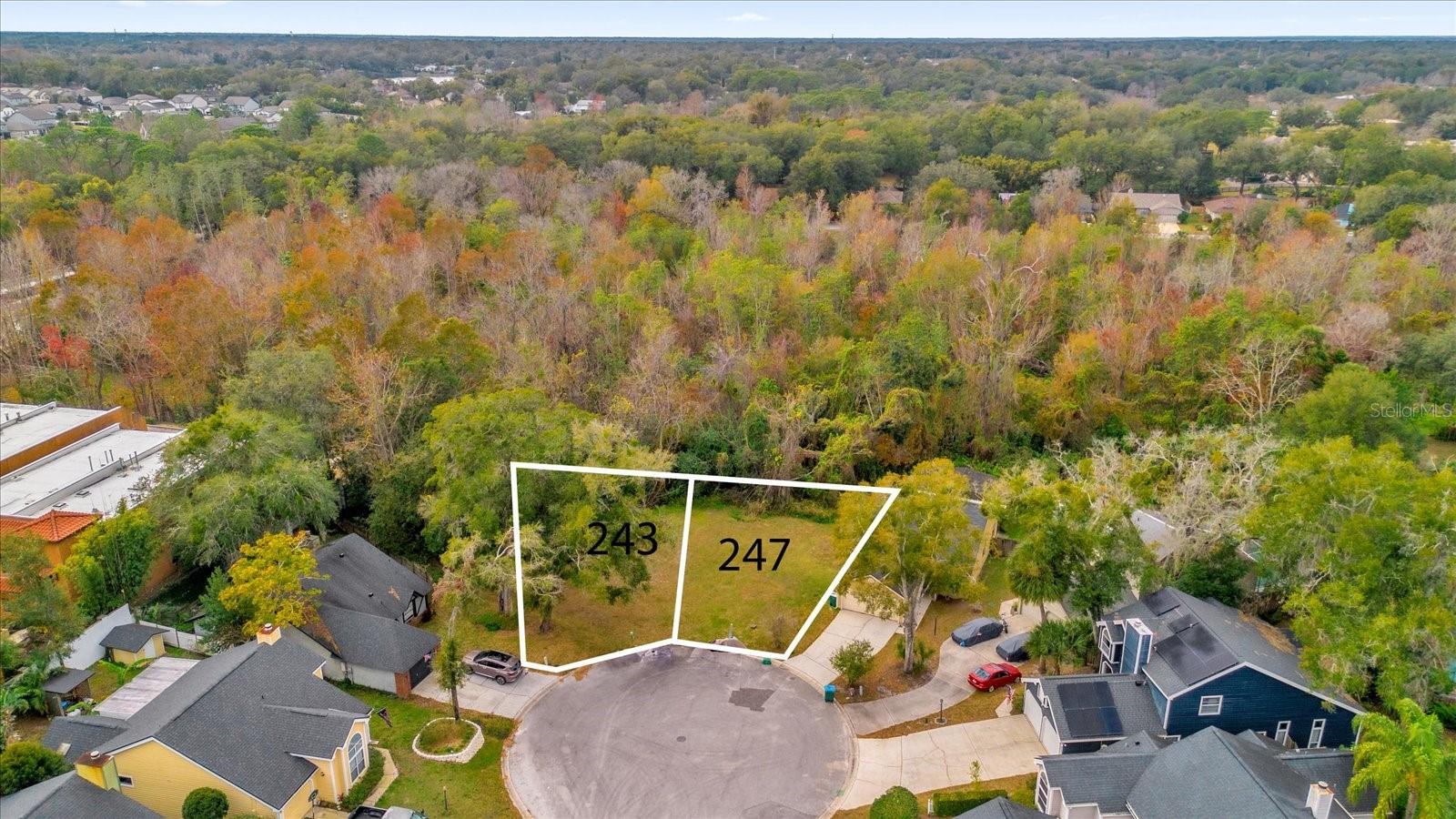 243 BLACKWATER, LONGWOOD, FL, 32750