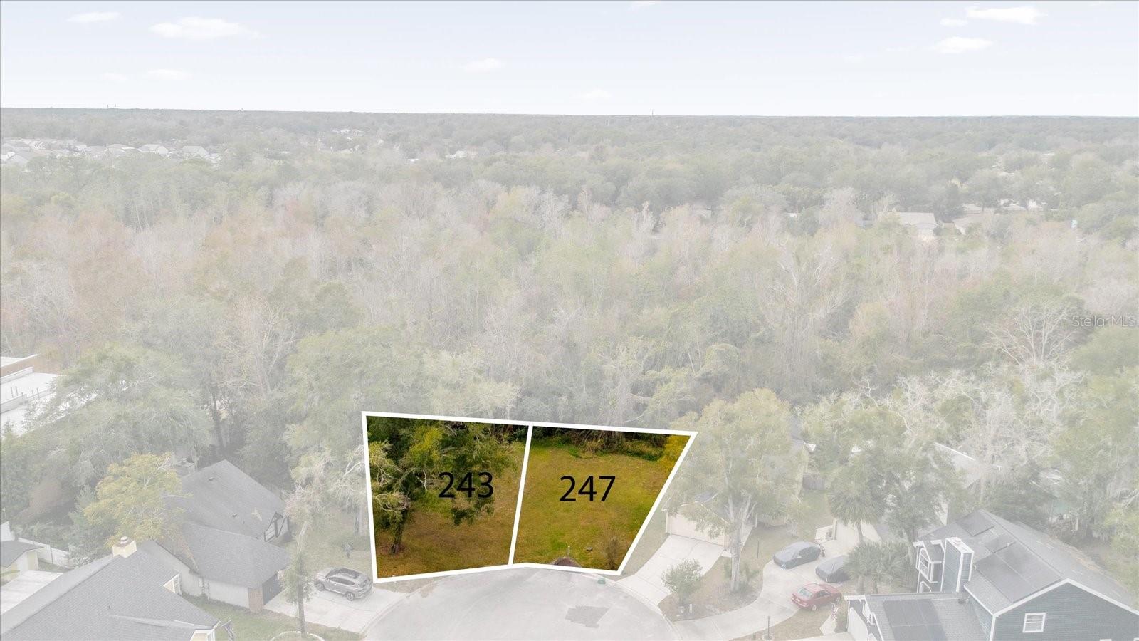 243 BLACKWATER, LONGWOOD, FL, 32750