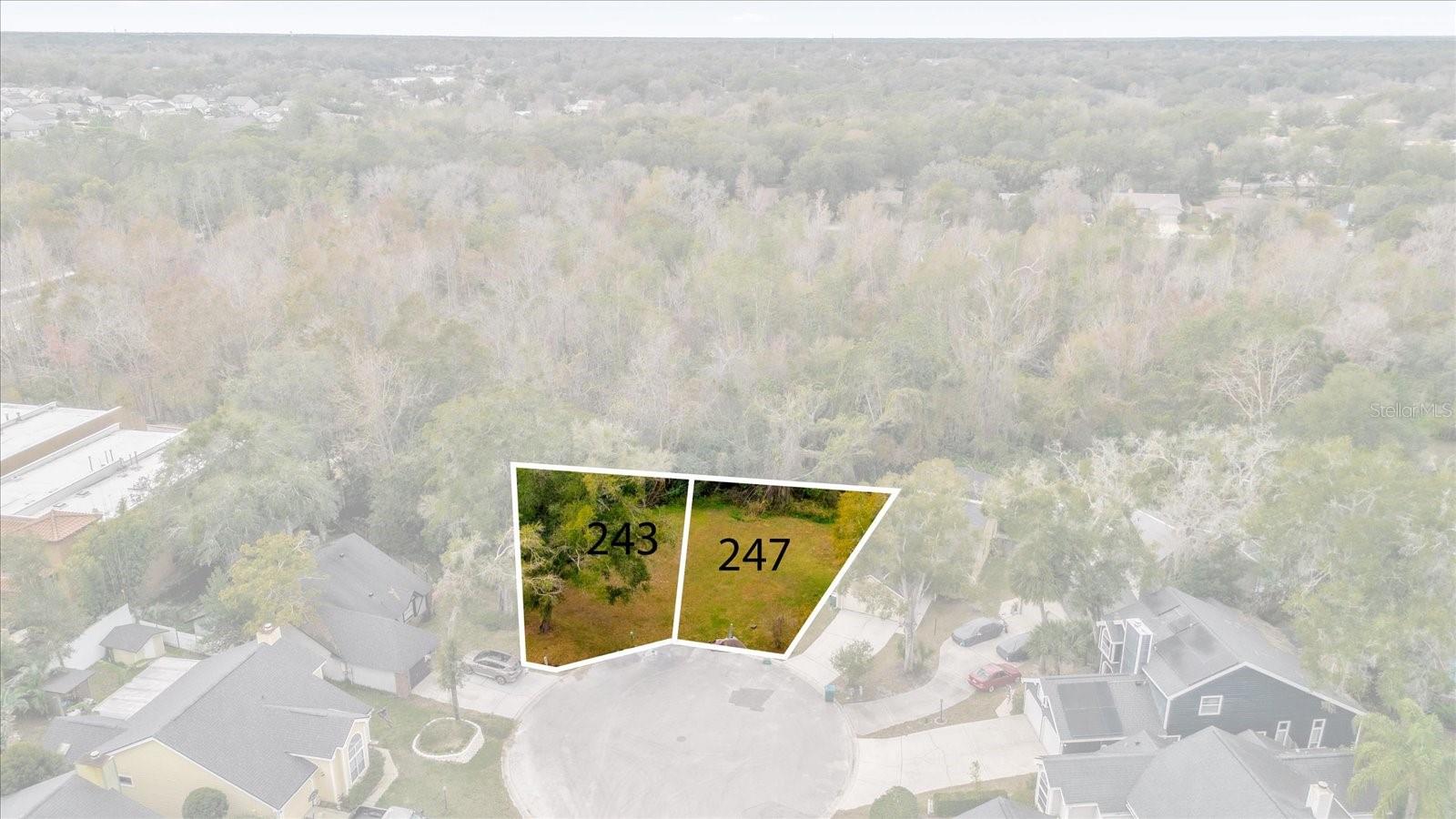 243 BLACKWATER, LONGWOOD, FL, 32750