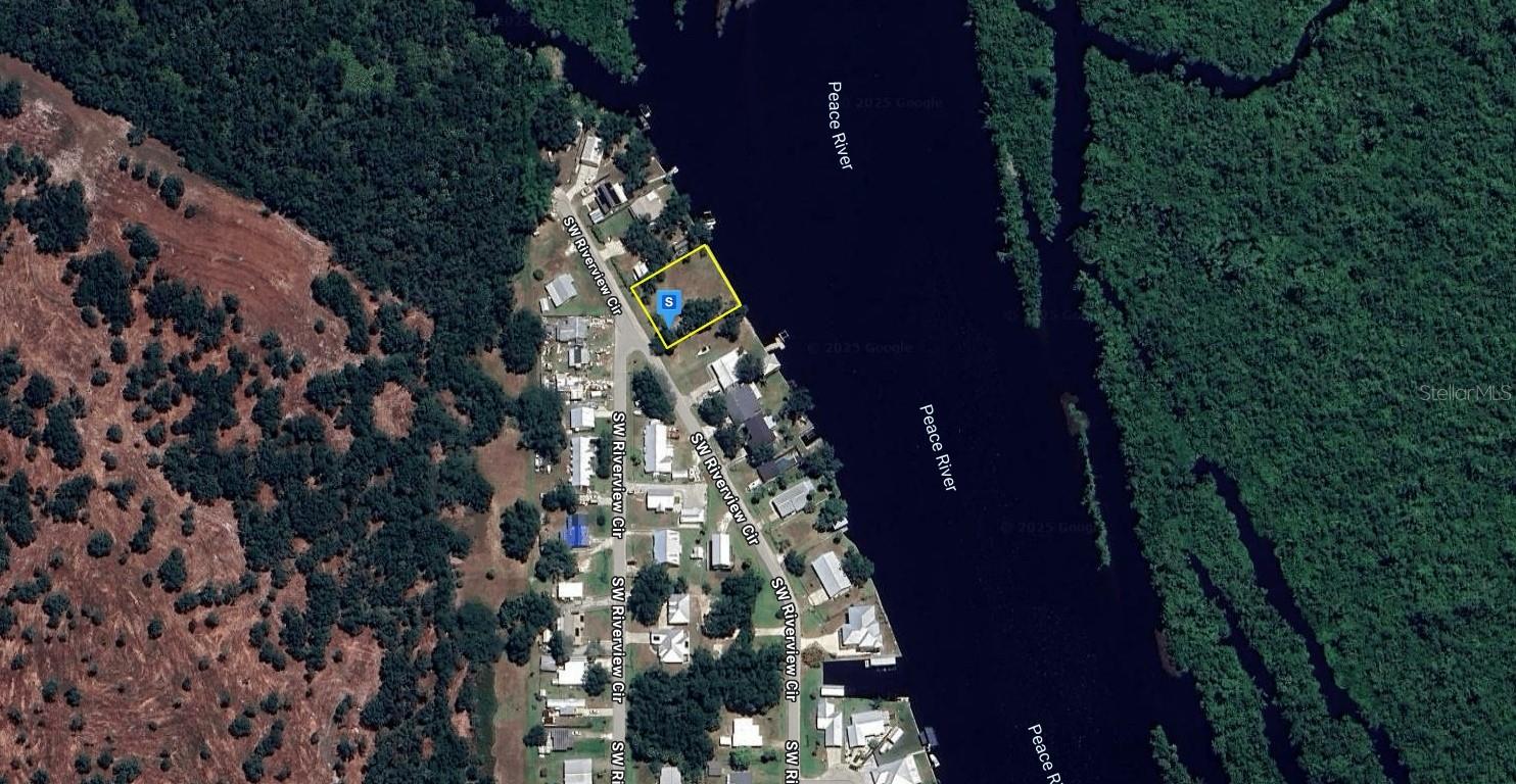 10082 SW RIVERVIEW CIR, ARCADIA, FL, 34269