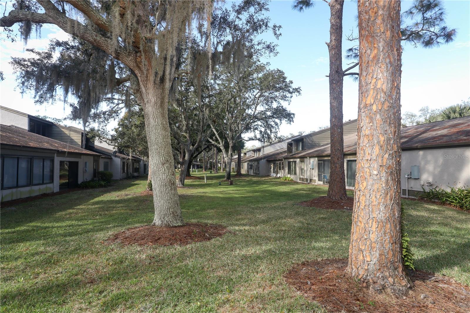 706 DRYWOOD AVE, FERN PARK, FL, 32730