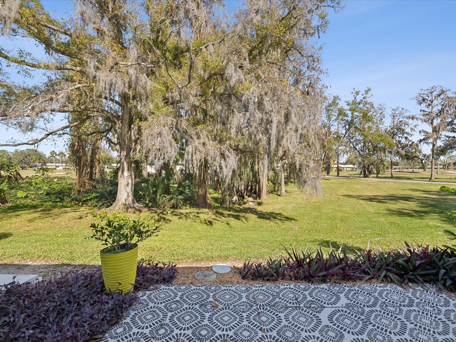 3717 TROPHY BLVD, NEW PORT RICHEY, FL, 34655