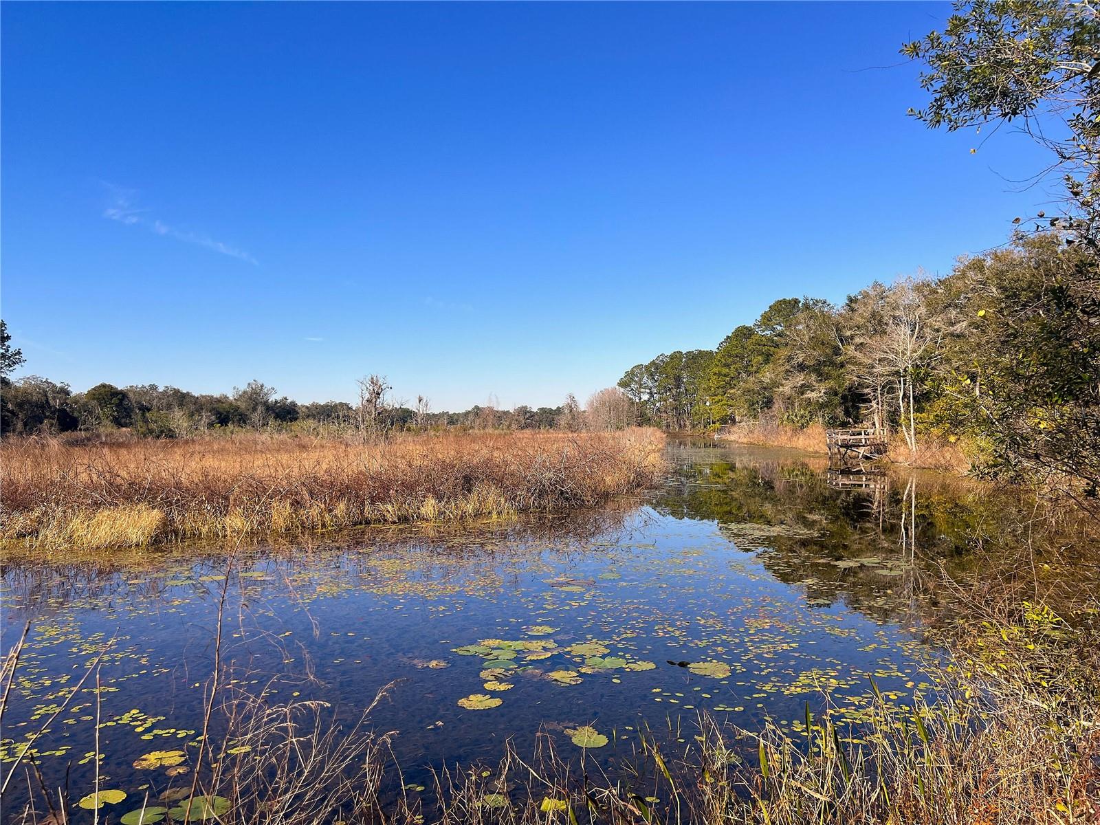 1903 W SPRINGLAKE DR DR, DUNNELLON, FL, 34434