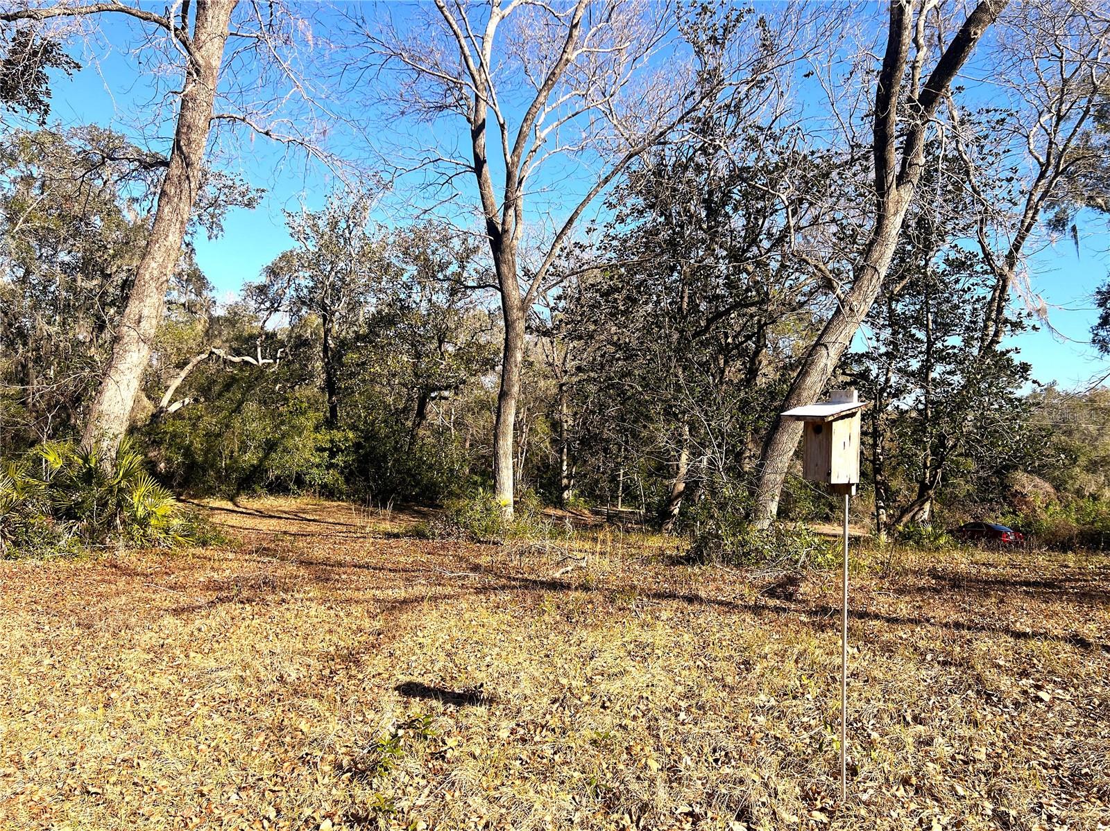 1903 W SPRINGLAKE DR DR, DUNNELLON, FL, 34434