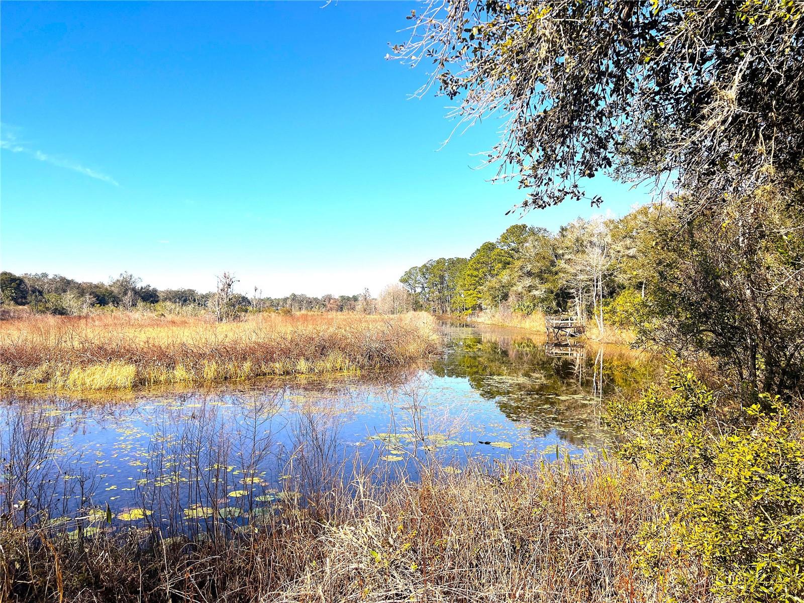 1903 W SPRINGLAKE DR DR, DUNNELLON, FL, 34434