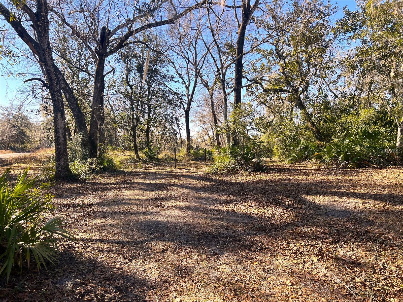 1903 W SPRINGLAKE DR DR, DUNNELLON, FL, 34434