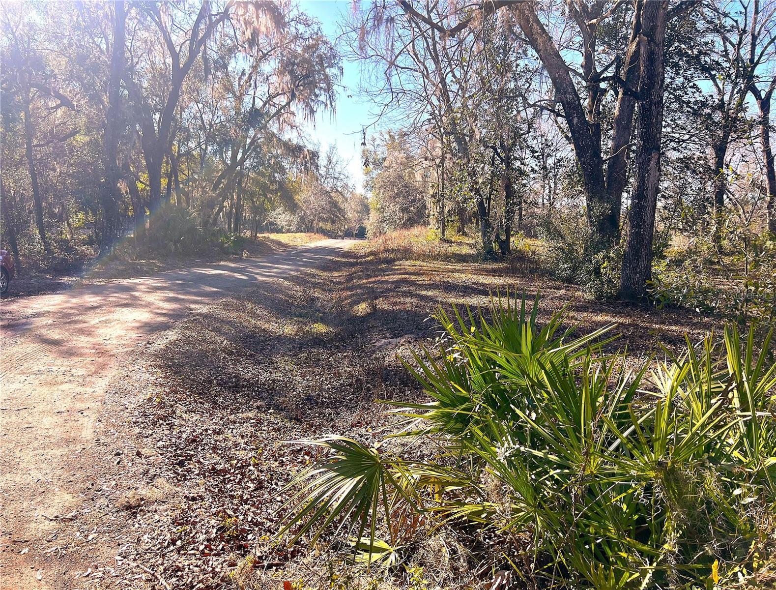 1903 W SPRINGLAKE DR DR, DUNNELLON, FL, 34434