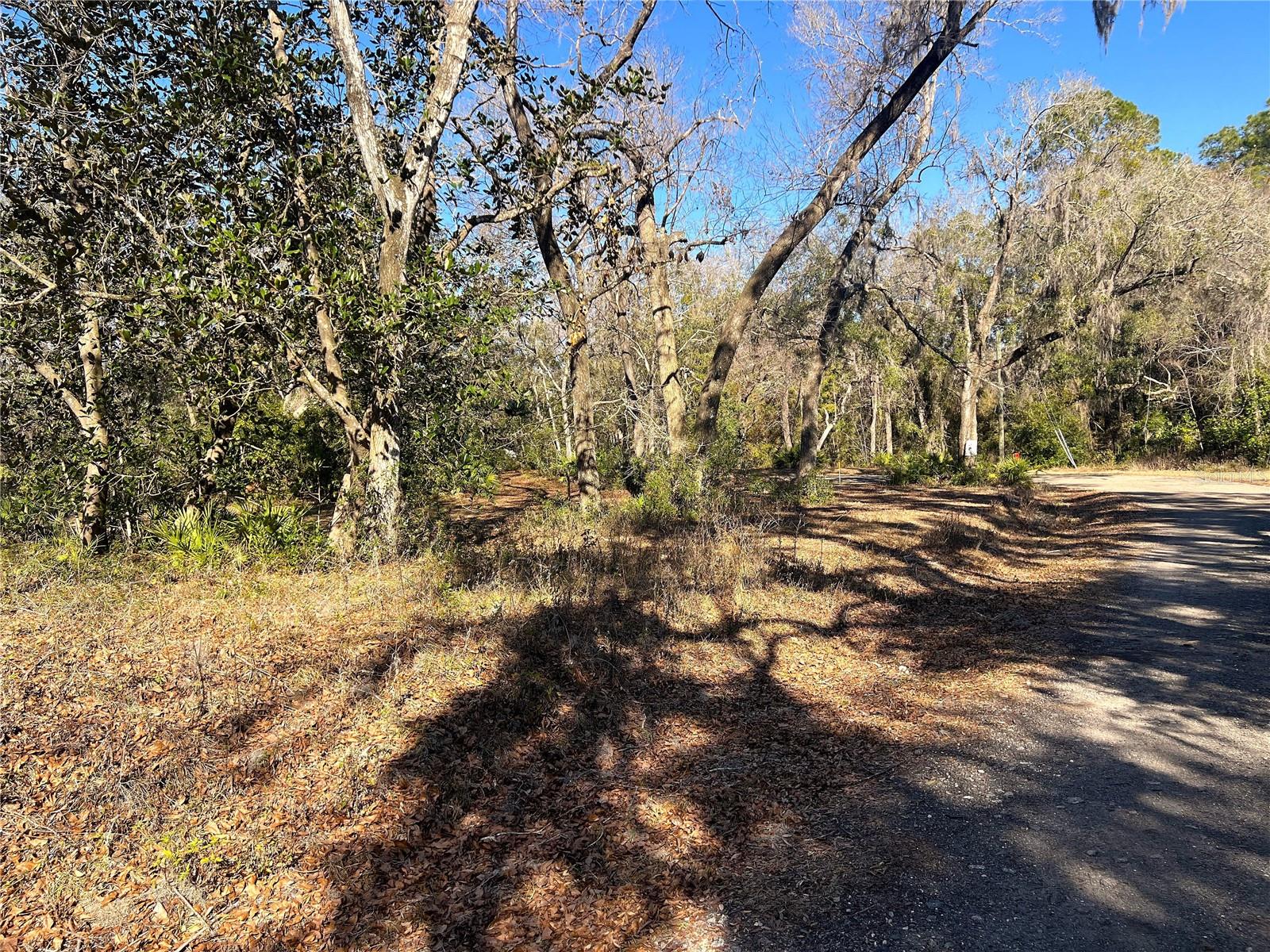 1903 W SPRINGLAKE DR DR, DUNNELLON, FL, 34434