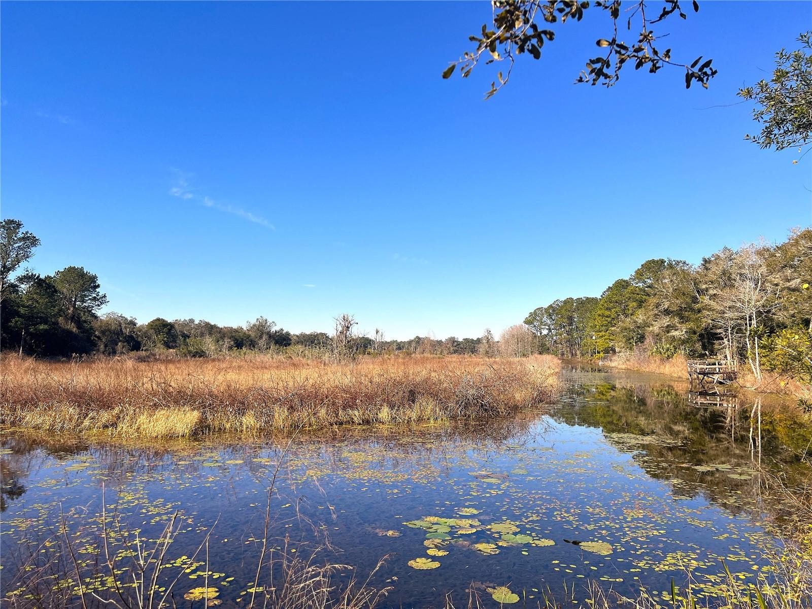 1903 W SPRINGLAKE DR DR, DUNNELLON, FL, 34434