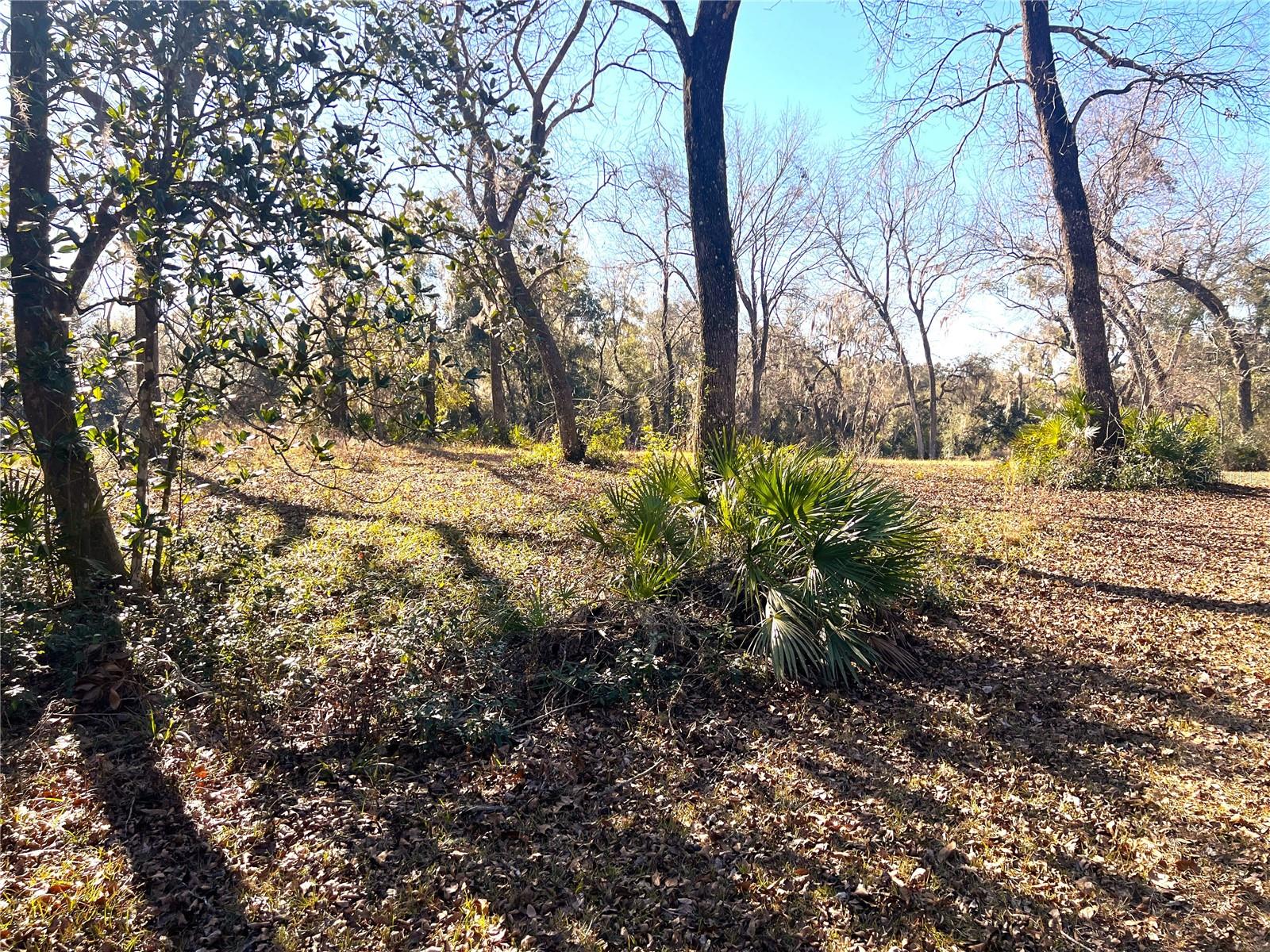 1903 W SPRINGLAKE DR DR, DUNNELLON, FL, 34434