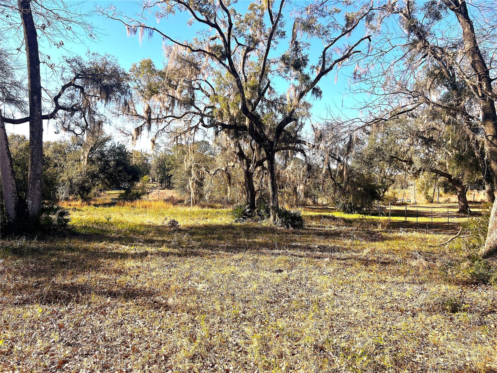 1903 W SPRINGLAKE DR DR, DUNNELLON, FL, 34434