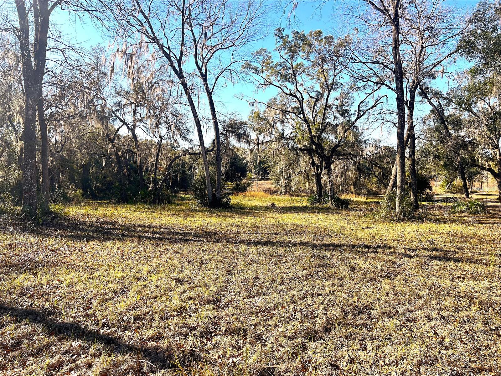1903 W SPRINGLAKE DR DR, DUNNELLON, FL, 34434