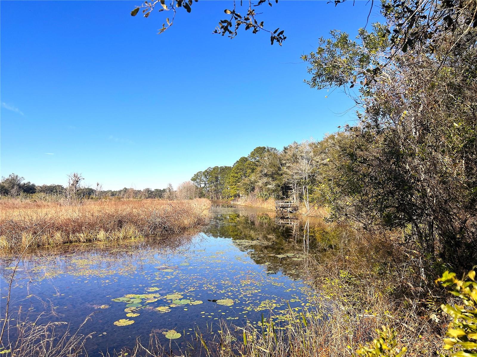 1903 W SPRINGLAKE DR DR, DUNNELLON, FL, 34434