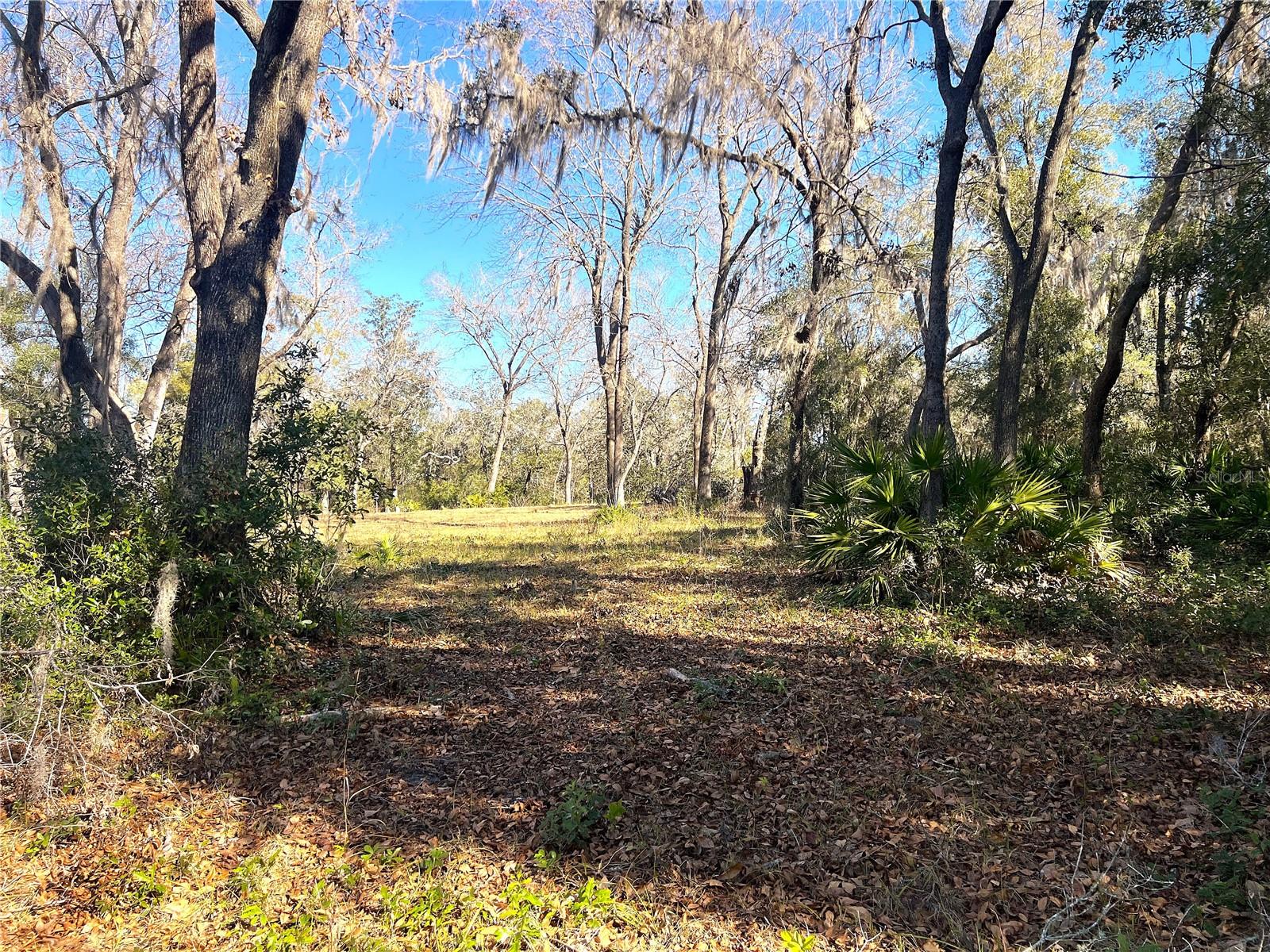 1903 W SPRINGLAKE DR DR, DUNNELLON, FL, 34434