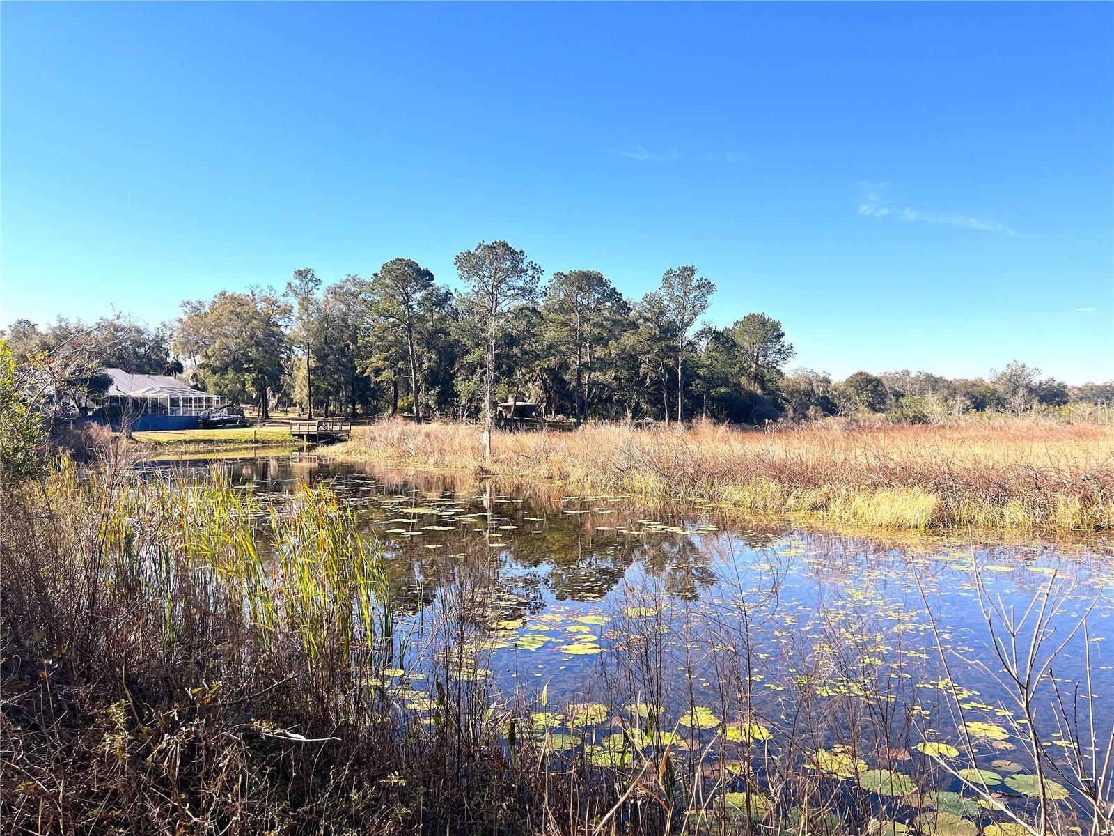 1903 W SPRINGLAKE DR DR, DUNNELLON, FL, 34434
