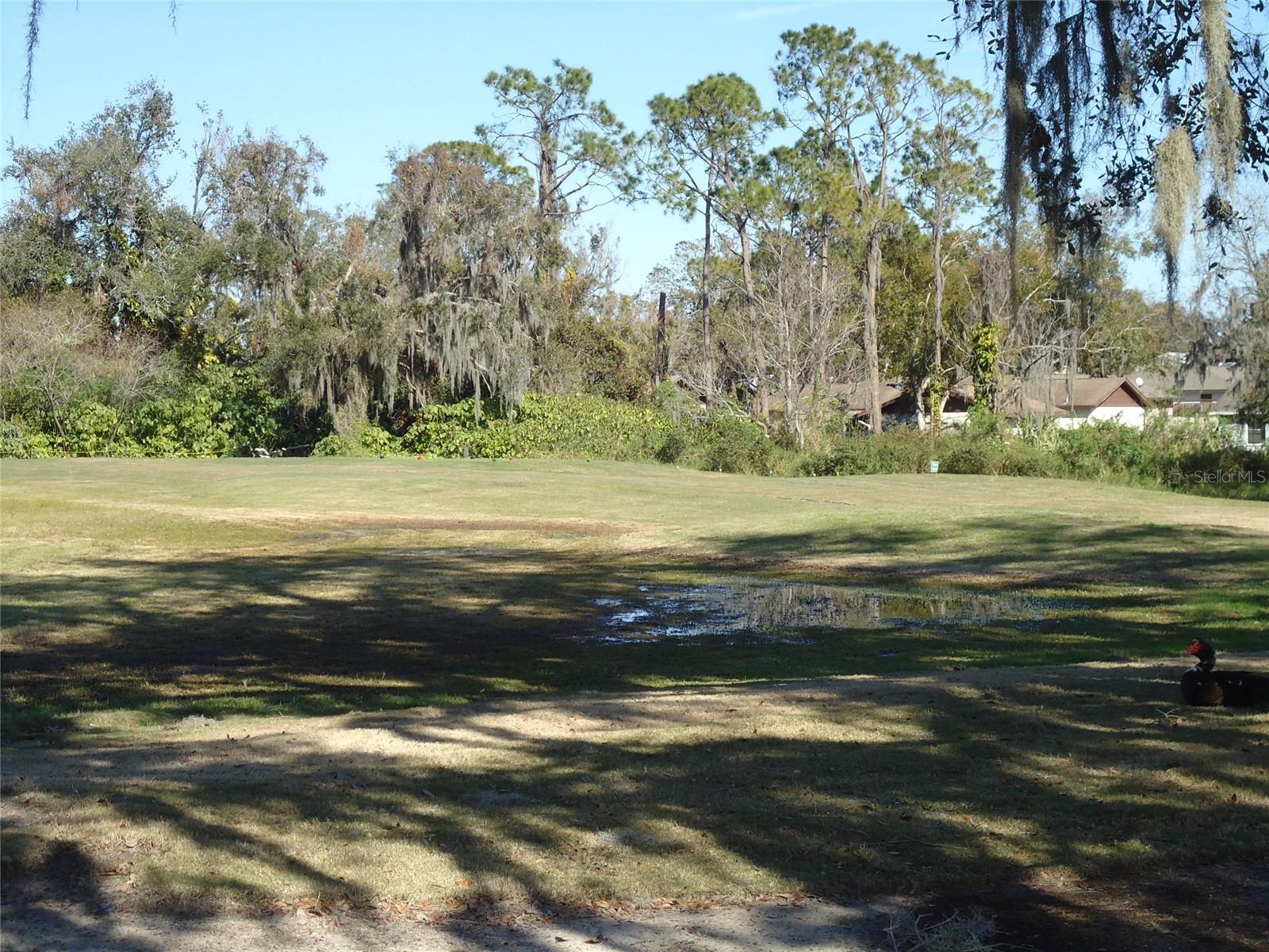 MONTREAL DR, LAKELAND, FL, 33810