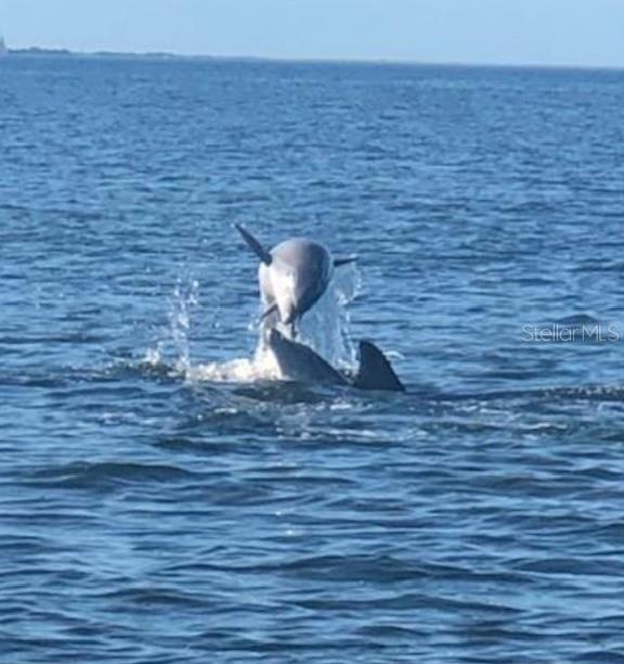 2013 GULFVIEW DR, HOLIDAY, FL, 34691