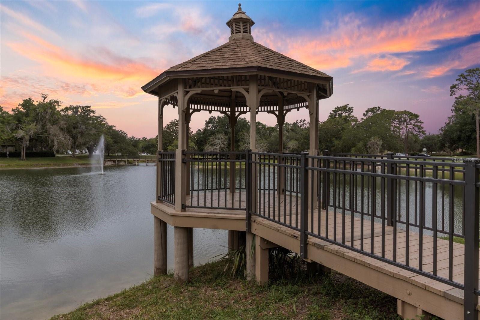 6099 W DOUNERAY LOOP, CRYSTAL RIVER, FL, 34429