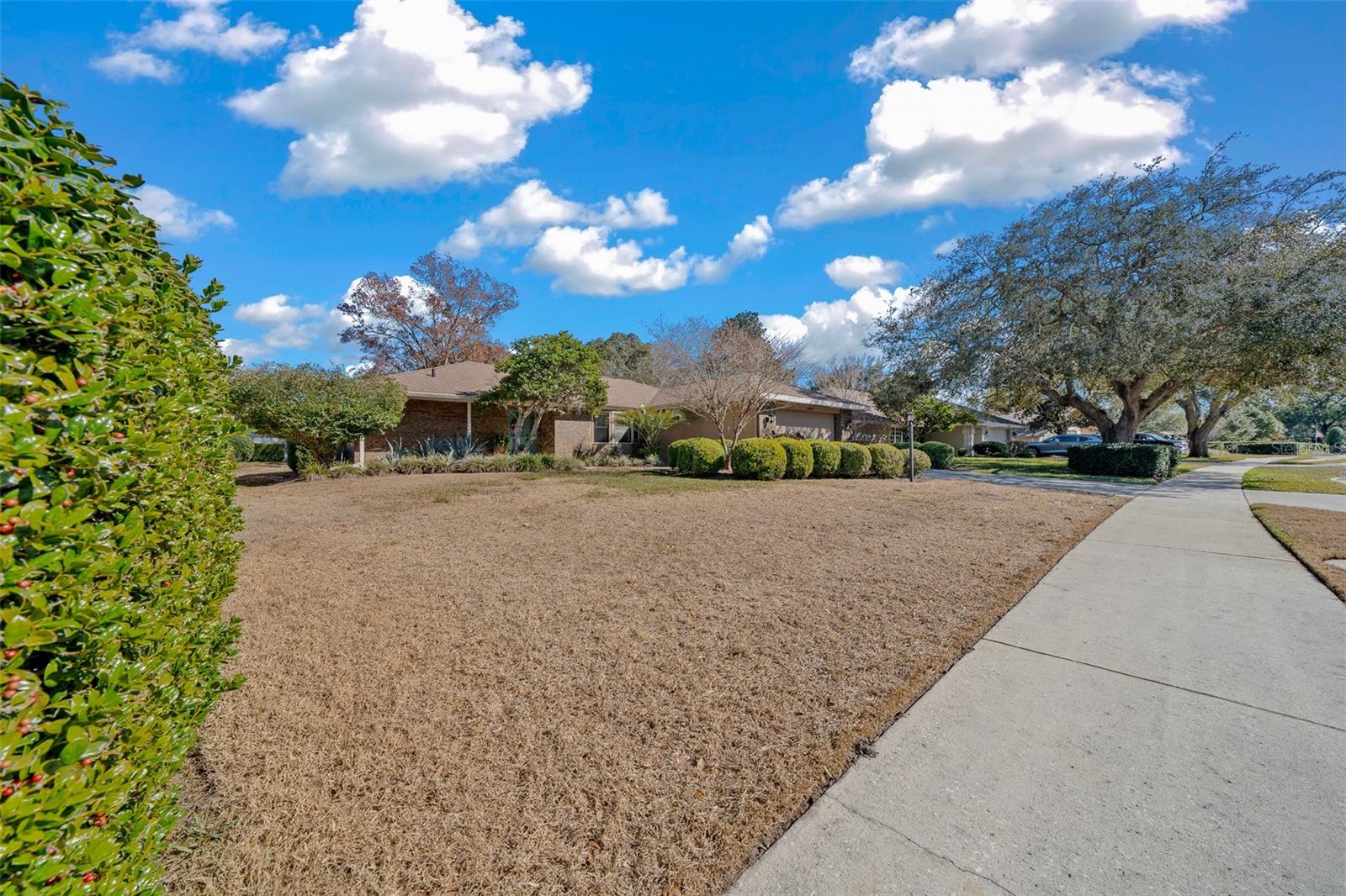 6099 W DOUNERAY LOOP, CRYSTAL RIVER, FL, 34429