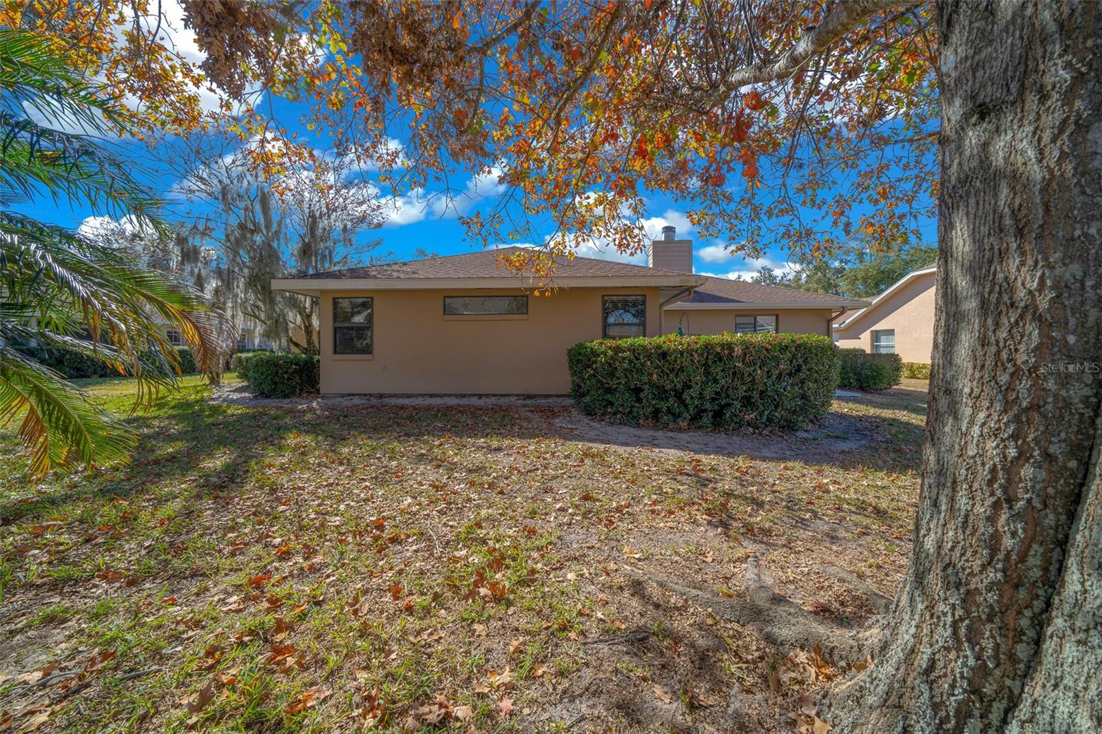 6099 W DOUNERAY LOOP, CRYSTAL RIVER, FL, 34429