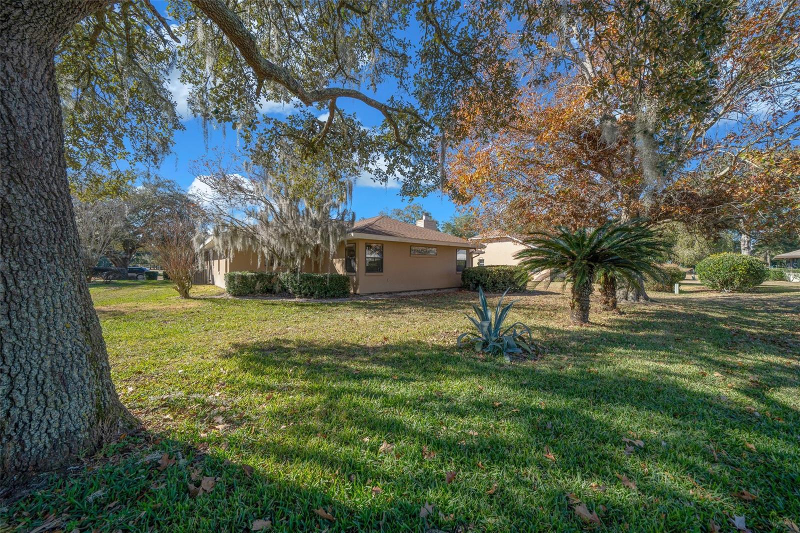 6099 W DOUNERAY LOOP, CRYSTAL RIVER, FL, 34429