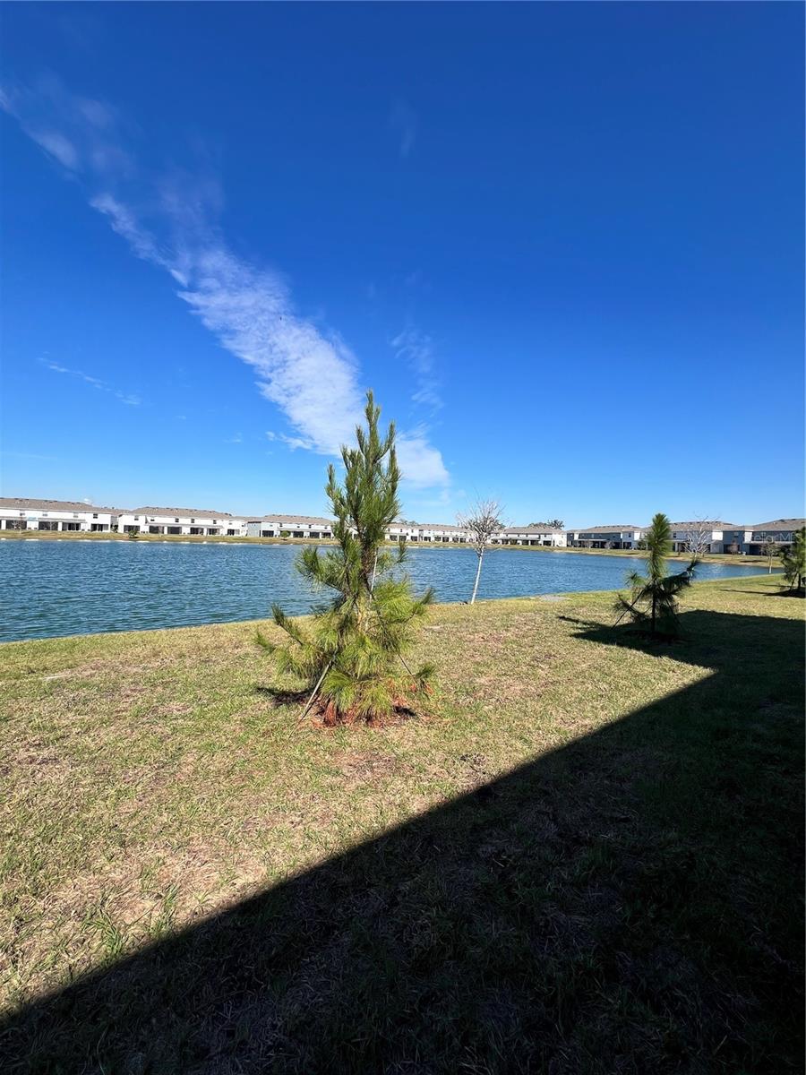 459 MANGROVE SHADE CIR, APOLLO BEACH, FL, 33572