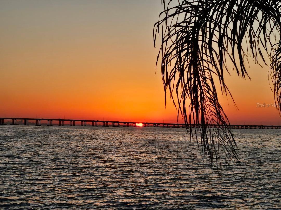 19029 US HIGHWAY 19 N #32B, CLEARWATER, FL, 33764