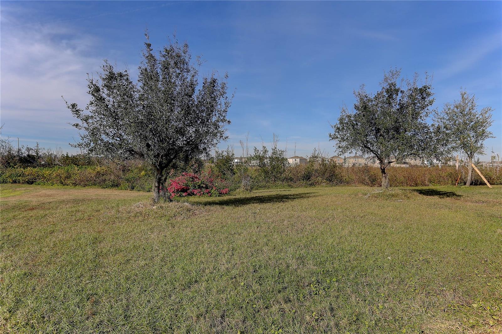 30755 SUMMER SUN LOOP, WESLEY CHAPEL, FL, 33545