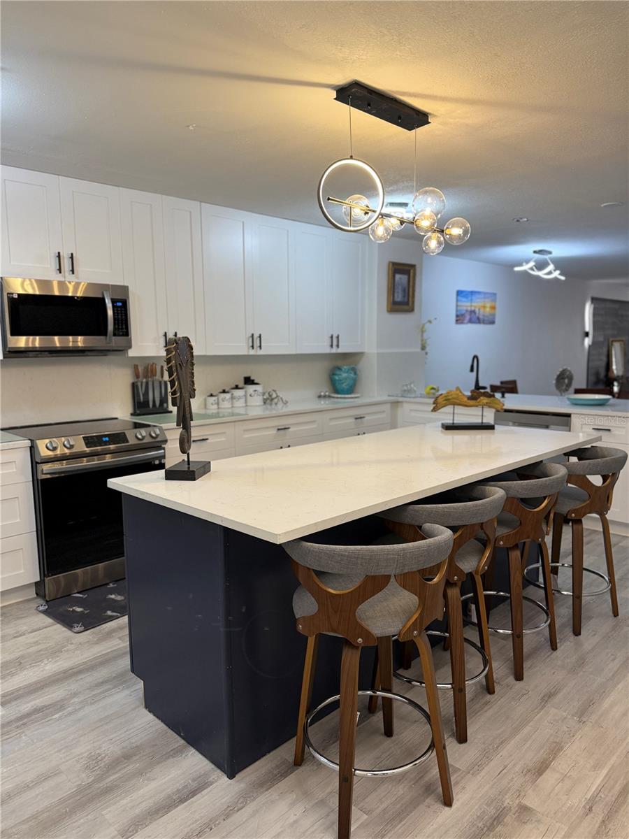 2599 DOLLY BAY DR #206, PALM HARBOR, FL, 34684