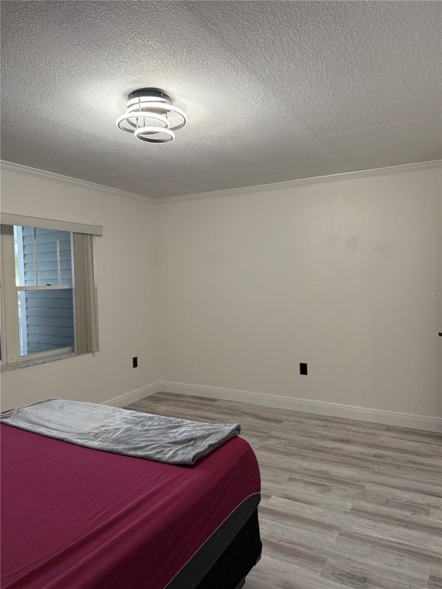 2599 DOLLY BAY DR #206, PALM HARBOR, FL, 34684