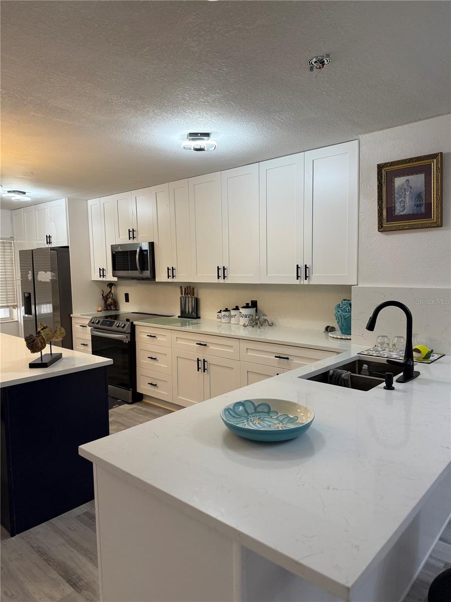 2599 DOLLY BAY DR #206, PALM HARBOR, FL, 34684