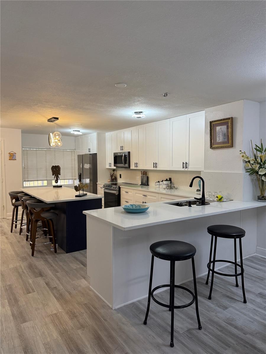 2599 DOLLY BAY DR #206, PALM HARBOR, FL, 34684