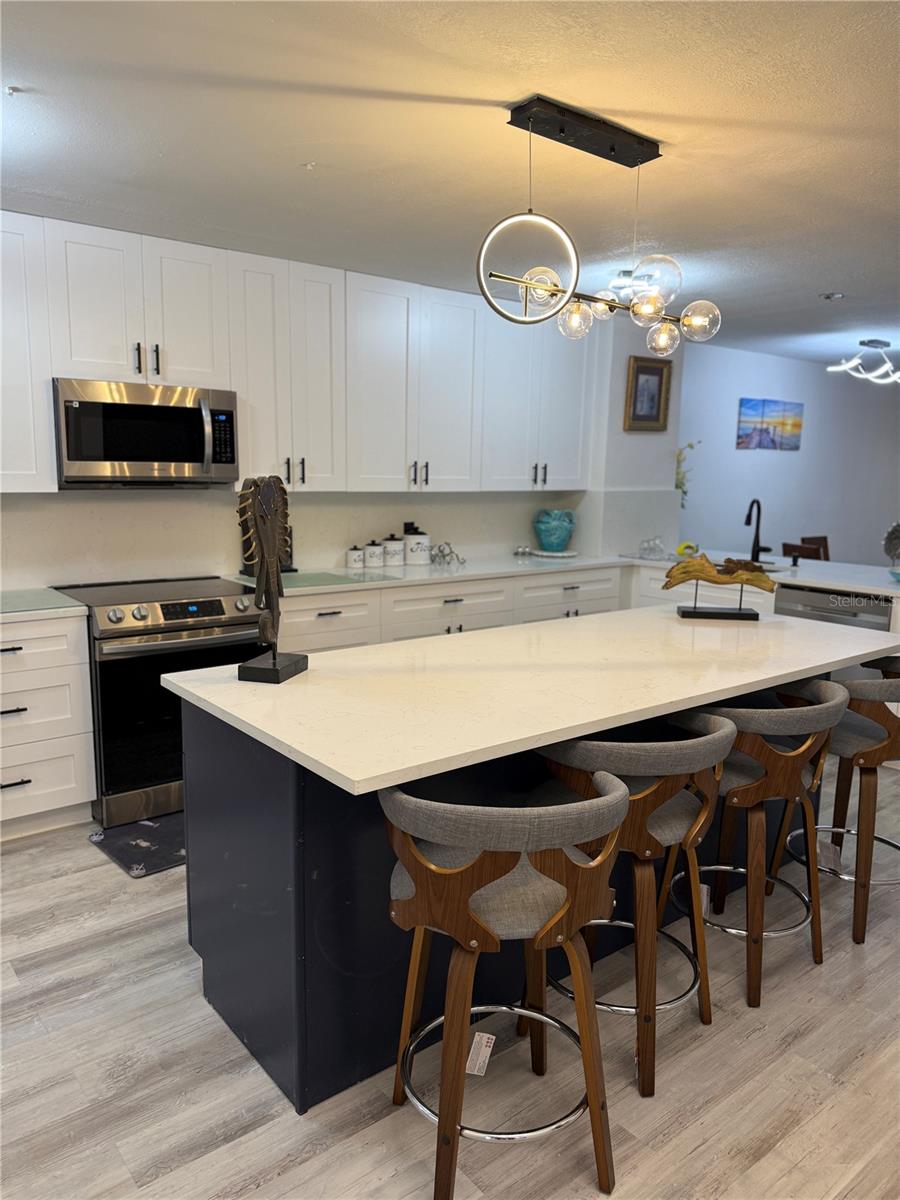 2599 DOLLY BAY DR #206, PALM HARBOR, FL, 34684