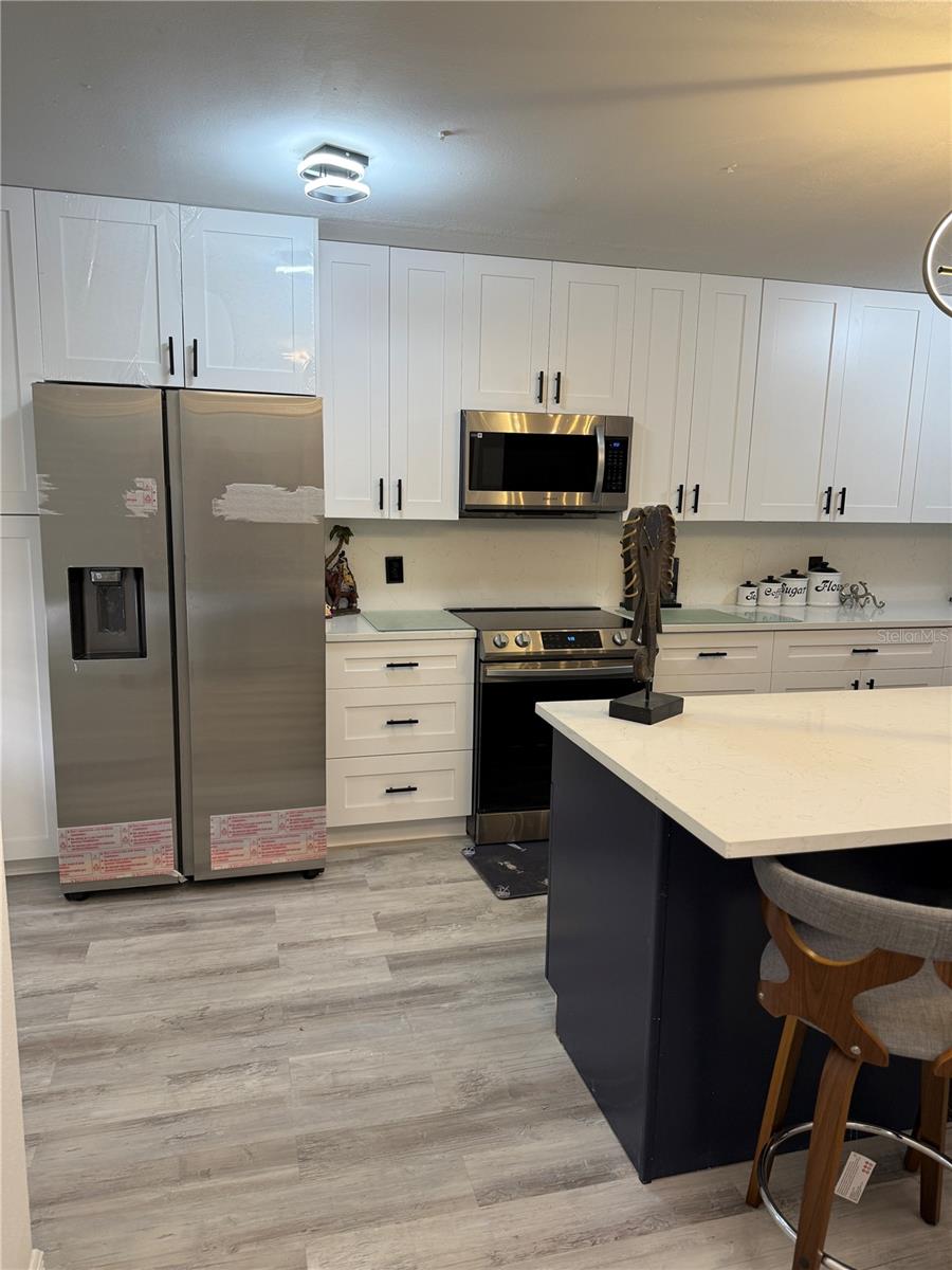 2599 DOLLY BAY DR #206, PALM HARBOR, FL, 34684