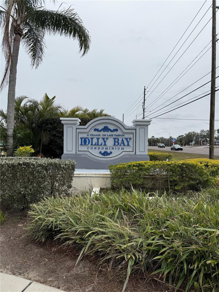 2599 DOLLY BAY DR #206, PALM HARBOR, FL, 34684