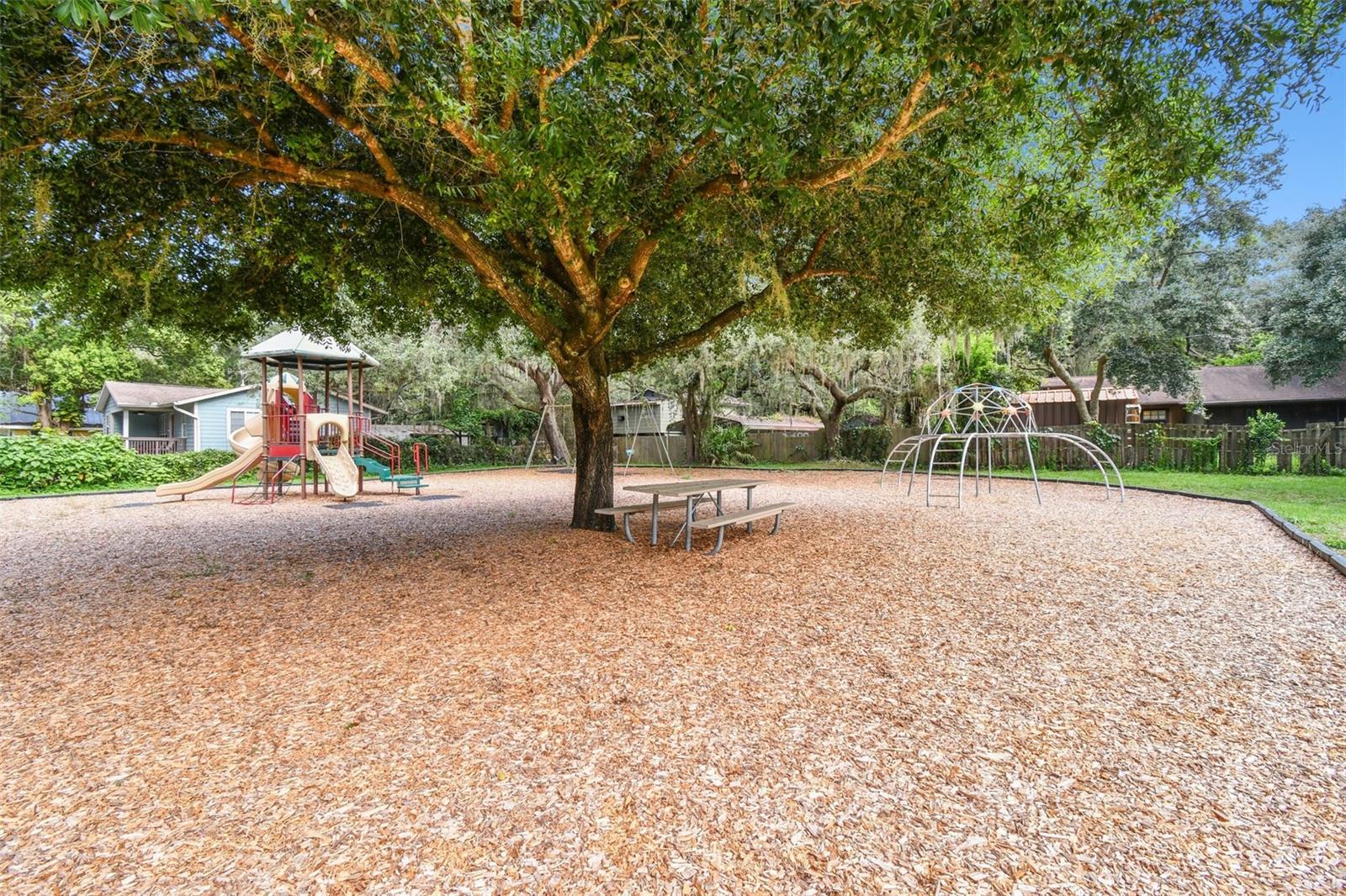 13833 VACATION LN, ODESSA, FL, 33556