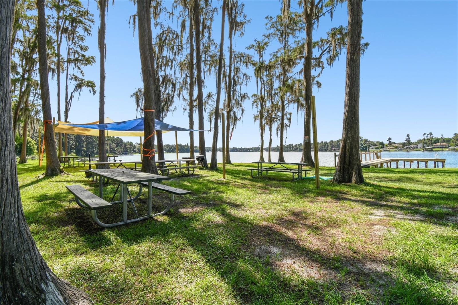 13833 VACATION LN, ODESSA, FL, 33556