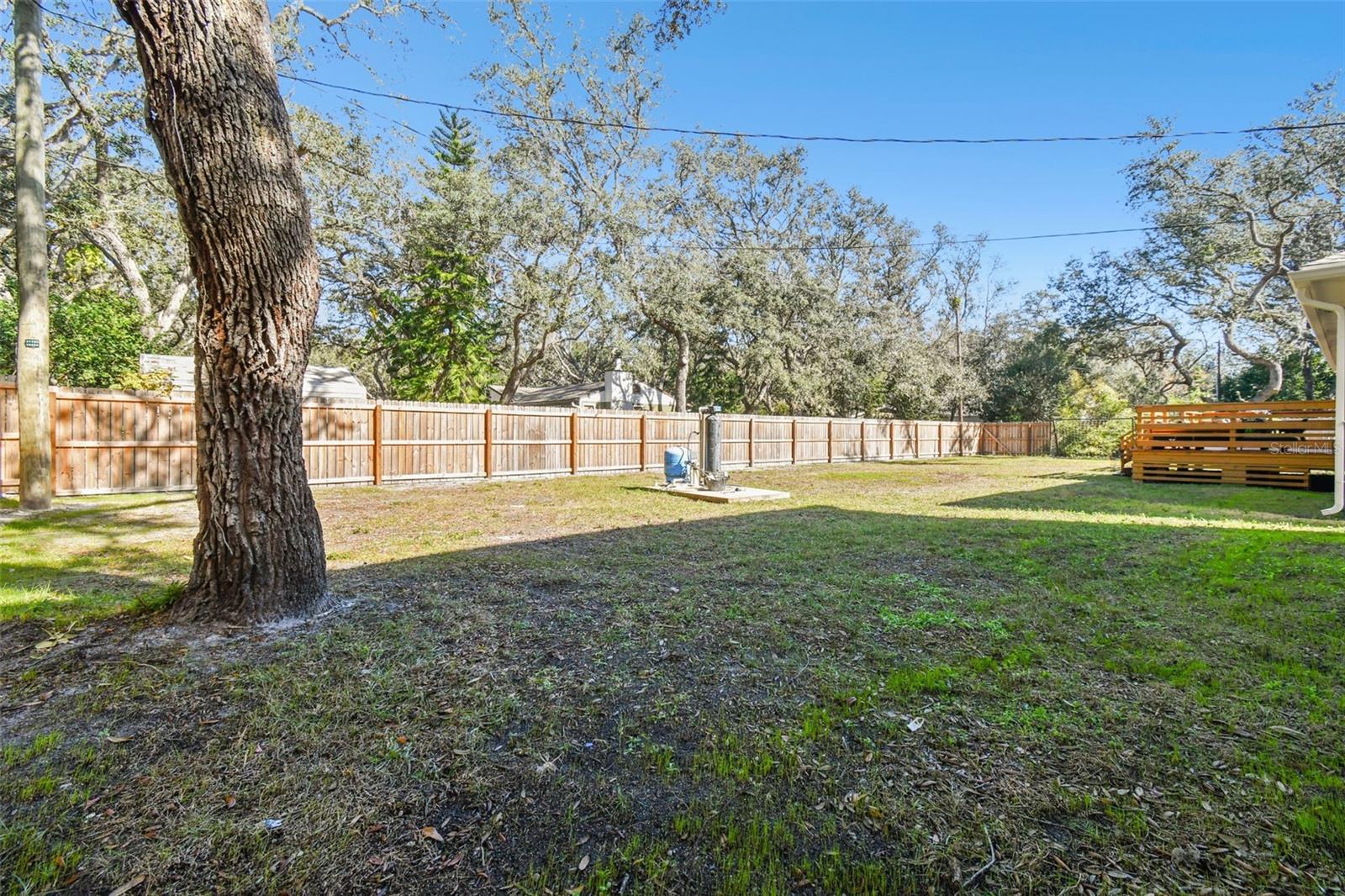13833 VACATION LN, ODESSA, FL, 33556