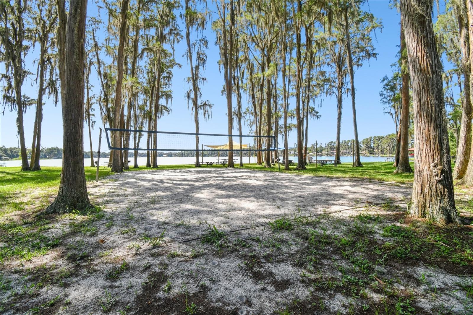 13833 VACATION LN, ODESSA, FL, 33556