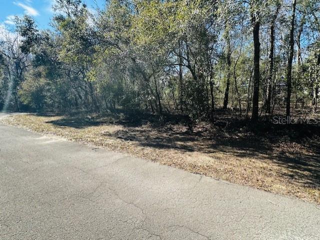 SE 41ST WAY, TRENTON, FL, 32693