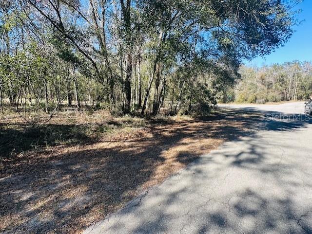 SE 41ST WAY, TRENTON, FL, 32693